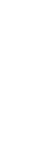 CAPTAIN Shana - The creator and artist of Shiba Moon Rocket. She started with an idea and created a universe. COMMANDER ELI - Graphic designer supporting the development and expansion of the Shiba Moon Rocket Program. MISSION PILOT Shiba - Our brave explorer. Our hope that we can make it to the moon. 